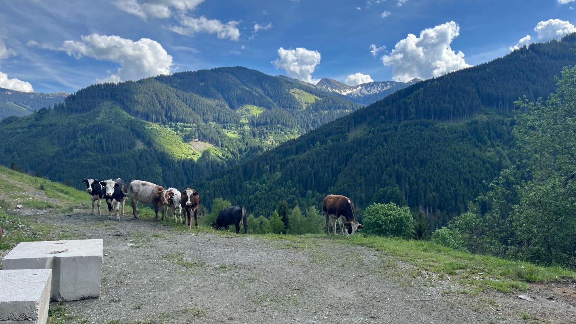 Landhaus Oberzinnegg Saalbach-Hinterglemm Exterior foto